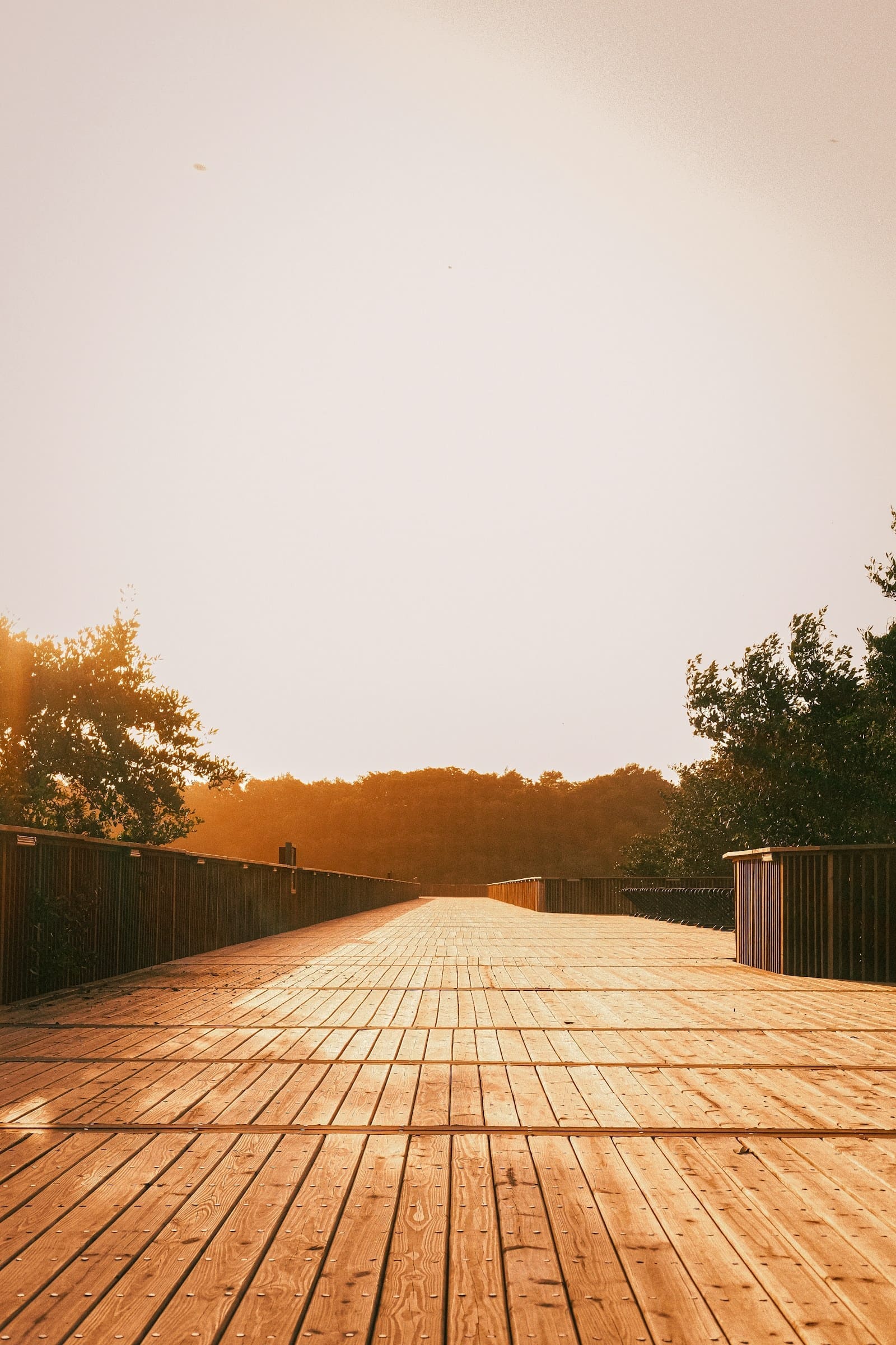 Deck de madeira em tom dourado ao entardecer — fotografia de referência da aplicação, não da obra da Madeireira Oliveira.